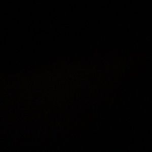 Meet your Posher, Rosalie